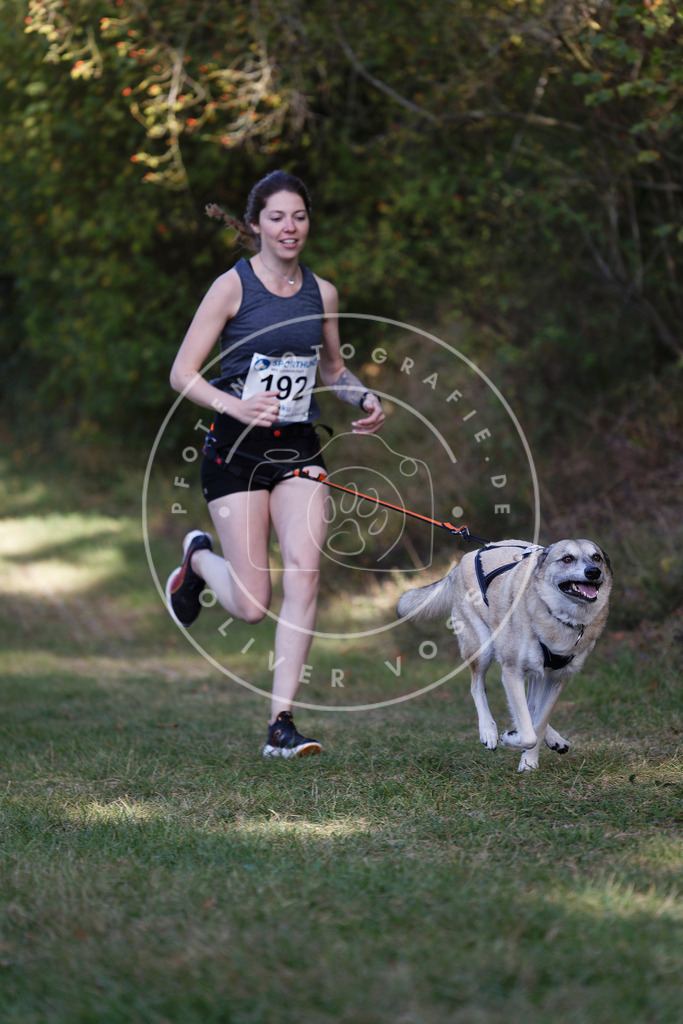 0L8A5667 | Hundefotografie, Tierfotograf, Pfotenfotografie, Fotoshooting Hund, Hunde Portrait, Hundesport, Hundeportraits, Heideshooting, Hunde, Sportfotograf, Hundefotograf, Turnierhundsport, THS,  - Realisiert mit Pictrs.com