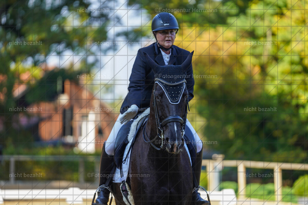 20221007-FAH00214 | Diessen am Ammersee, 2022, Dressur- und Springturnier, Reitsportbilder, Turnierfotografen Bayern, Pferdefotografen, Fotoagentur Herrmann, Turnierbilder