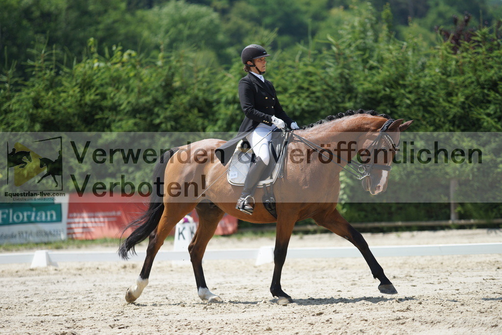 DSC05240 | equestrian-live-com