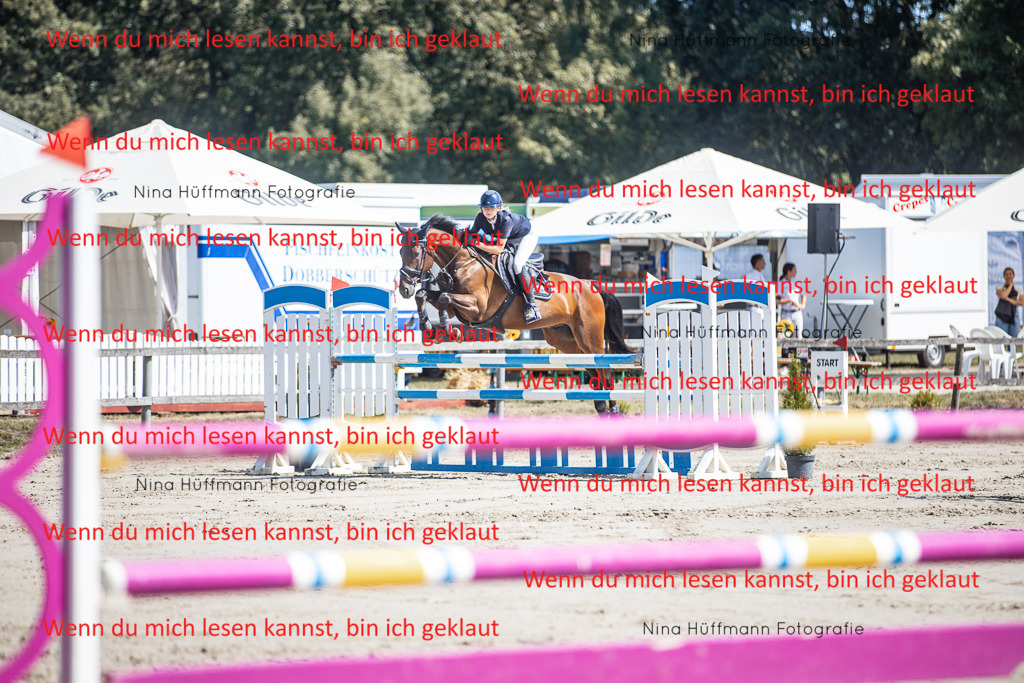 BK1A6634 | Turnierbilder Turnierfotos Nina Hüffmann Turnierfotografie Pferdefotografie Tierzeichnung Haustierzeichnung Pferdezeichnung Hundezeichnung Videograf  - Realisiert mit Pictrs.com