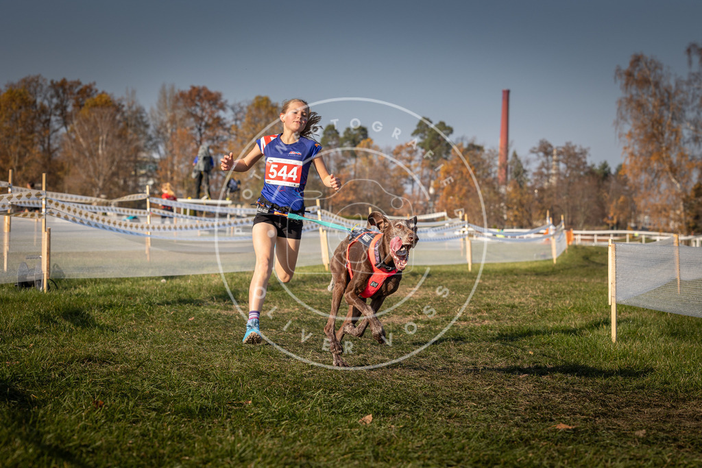 CaniXpix_0L8A9102 | Hundefotografie, Tierfotograf, Pfotenfotografie, Fotoshooting Hund, Hunde Portrait, Hundesport, Hundeportraits, Heideshooting, Hunde, Sportfotograf, Hundefotograf, Turnierhundsport, THS,  - Realisiert mit Pictrs.com