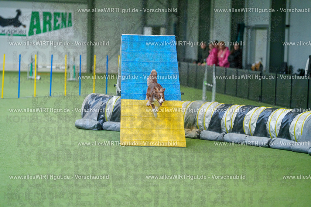 @allesWIRTHgut_Tierfotografie - www.allesWIRTHgut.de - 2604250810-7R505578 | Professionelle Tierfotografie in Mönchengladbach von Daniel Wirth (allesWIRTHgut). Liebevolle & natürliche Bilder von Hunden & Katzen für unvergessliche Erinnerungen.