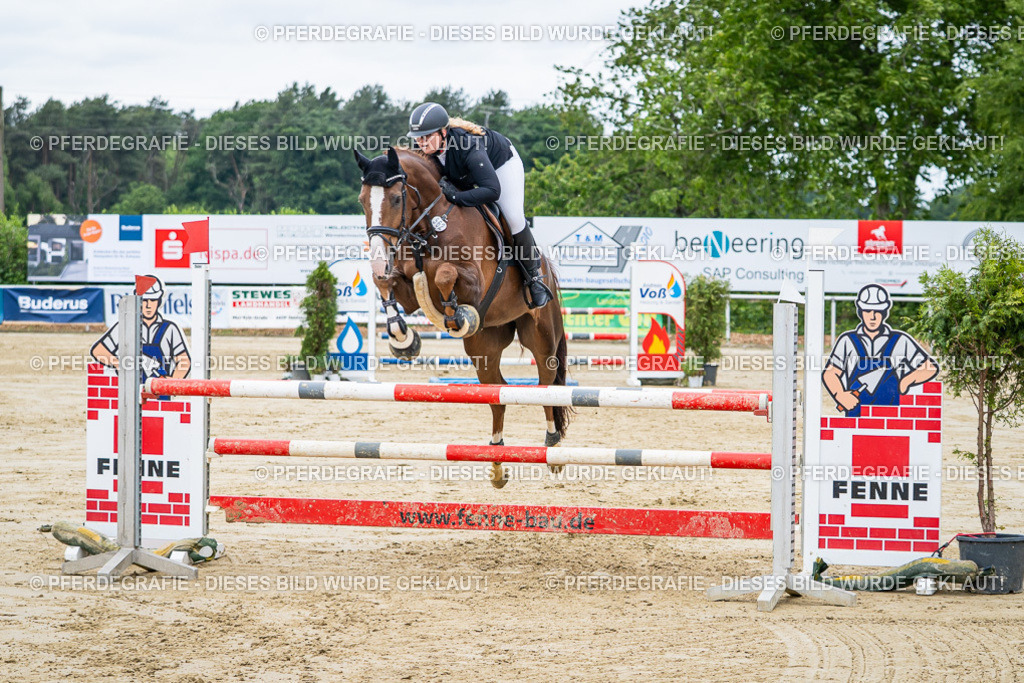 DSC04373 | Pferdegrafie