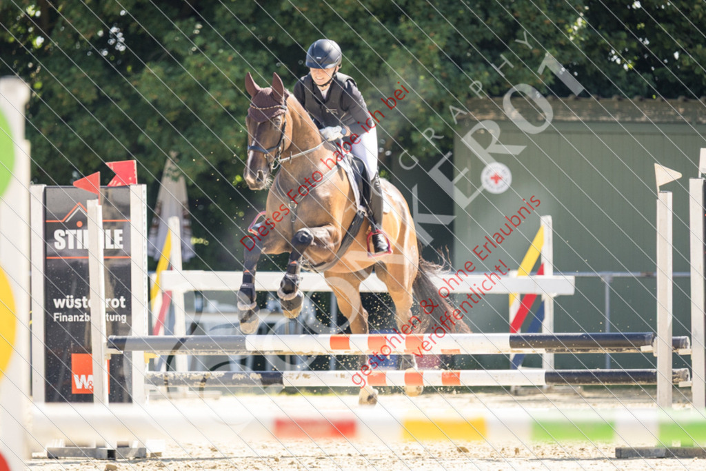 IMG_3285 | Sport-, Event- und Tierfotos in Profiqualität. Einfach auswählen, bestellen und herunterladen. Dein Moment – perfekt festgehalten.