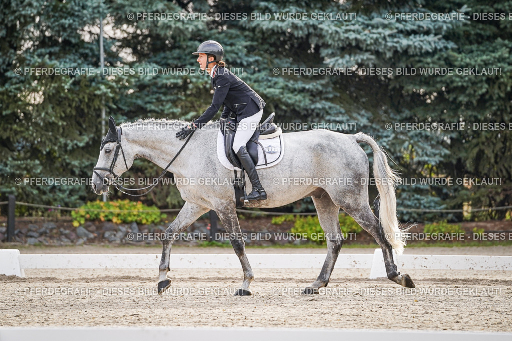 DSC00143 | Pferdegrafie