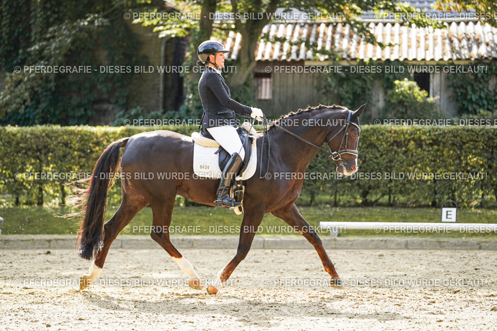 DSC07851 | Pferdegrafie