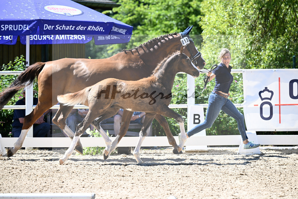 Kat-Nr. 13 Bonds x Don Juan de Hus_HF_Geiling_20250821 | hf-fotografie - Realizzato con Pictrs.com