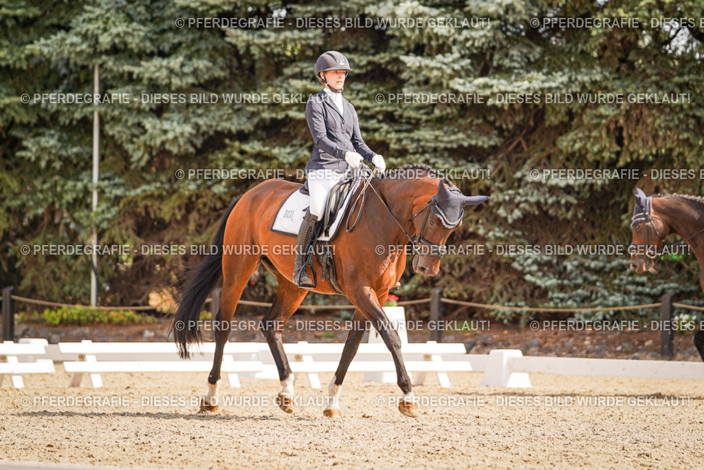 DSC01207 | Pferdegrafie