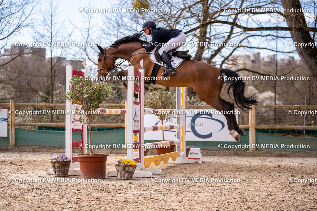 Kranichstein Tag 2-500 | dv-media-shop - Realisiert mit Pictrs.com