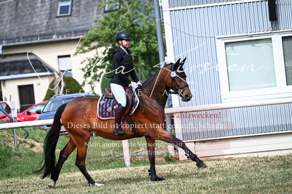 DSC_8410 | Pferde- und Turnierfotografie in Westsachsen. Pferdeportraits, Auftragszeichnungen und intuitive Kunst.