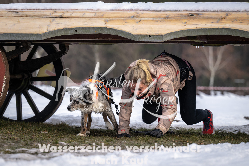 0814_ZZ91054-5 | kk-dogfotos
