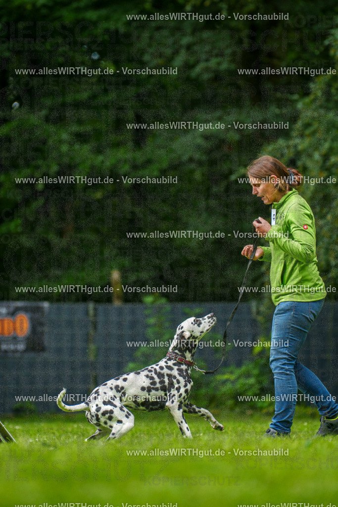 @allesWIRTHgut_Tierfotografie - www.allesWIRTHgut.de - 135048-7R500055 | Professionelle Tierfotografie in Mönchengladbach von Daniel Wirth (allesWIRTHgut). Liebevolle & natürliche Bilder von Hunden & Katzen für unvergessliche Erinnerungen.