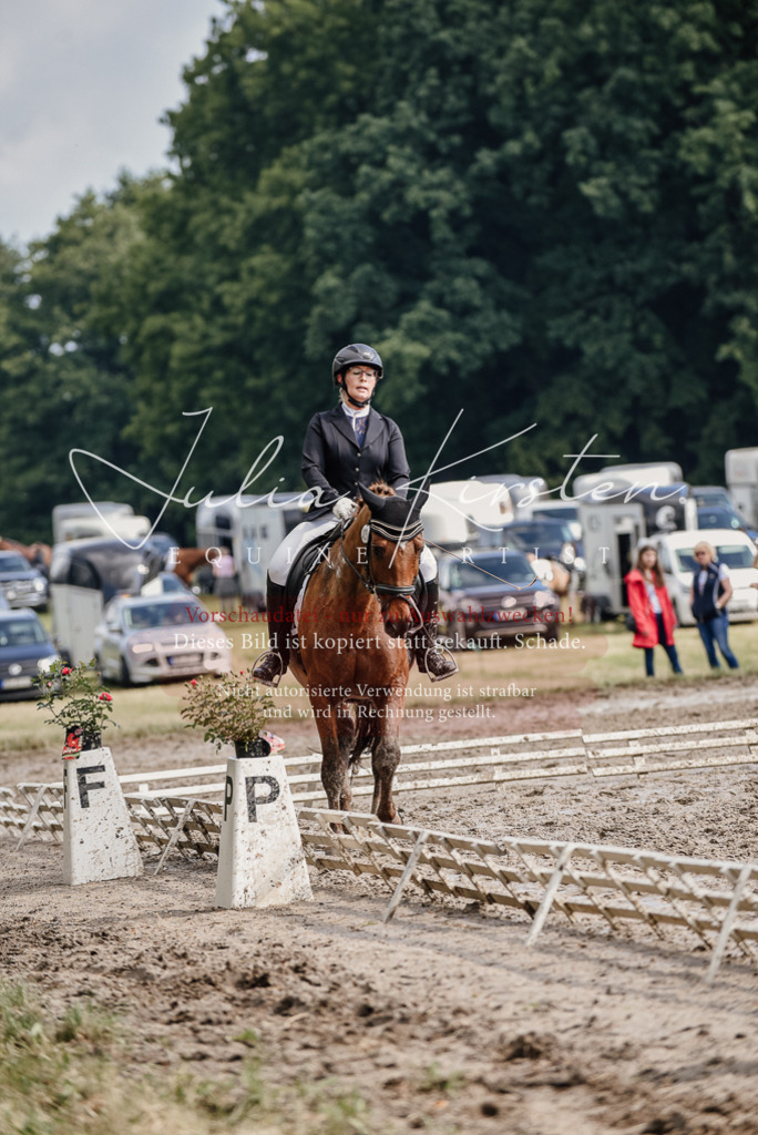 DSC_8953 | Pferde- und Turnierfotografie in Westsachsen. Pferdeportraits, Auftragszeichnungen und intuitive Kunst.