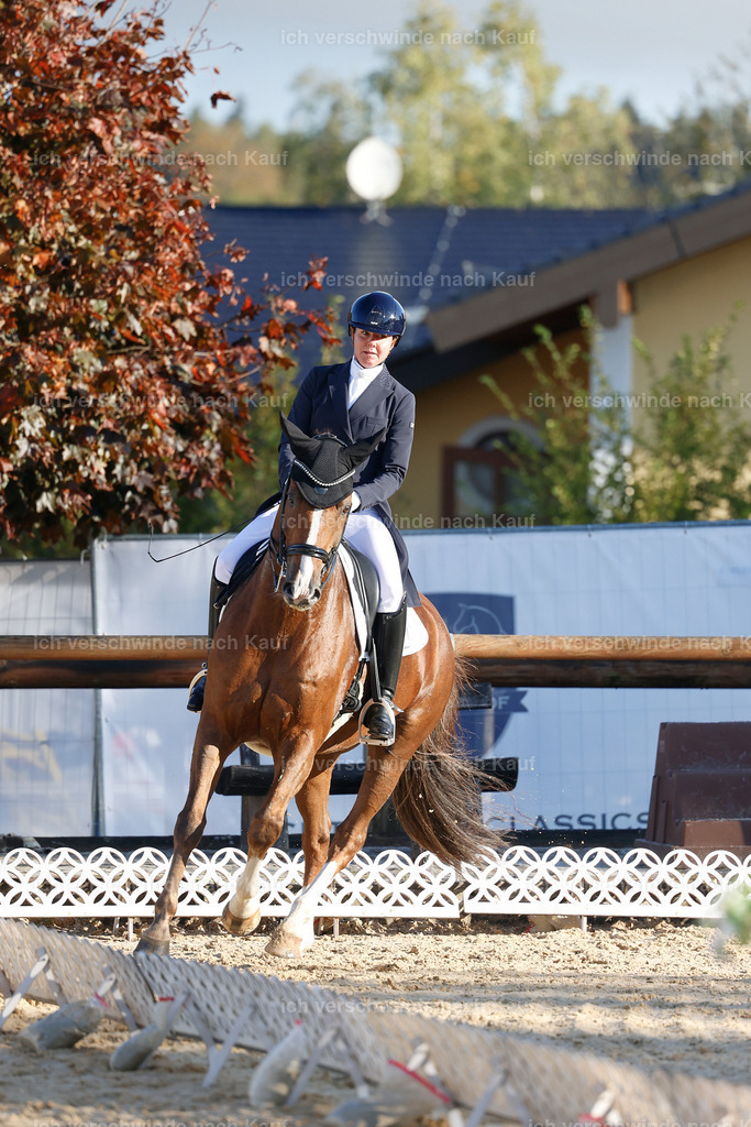 09_1-195-DRESSUR  S_  -StoibPH-5508 | working equitationturnier fotograf videograf stoibphotography marixx film working equitation deutschland reitsport turnierfotografie eventfotografie equestrian events