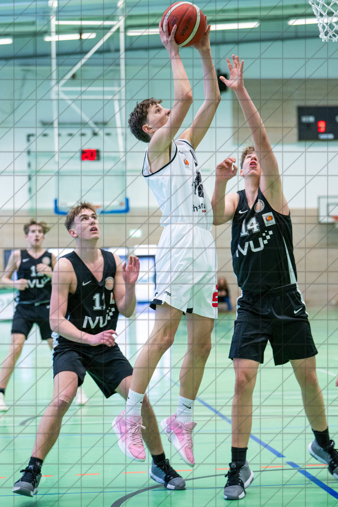 JBBL 24/25 | 12.01.2025 | Charisma Young Bulls vs. Northwestern Basketball Academy | JBBL 24/25 | 12.01.2025 | Charisma Young Bulls vs. Northwestern Basketball Academy - - - - - CREDIT, www.bullenfotos.de, Martin König, Hörner Weg 40, D-49078 Osnabrück, +4917663732967, Nutzung und Weitergabe nur zu den vereinbarten Zwecken. Presseanfragen an Urheber. Alle Rechte beim Urheber. - - - - - - Realisiert mit Pictrs.com