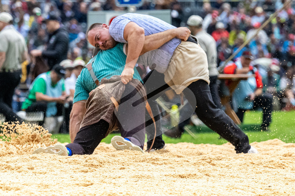 ESAF2025_02Gang_4919 | Die Schwinger des Schwyzer Kantonalen Schwingerverbandes: Fotos, die Dynamik und Leidenschaft festhalten, sowie emotionale Momente aus dem traditionellen Schwingsport zeigen. - Realisiert mit Pictrs.com