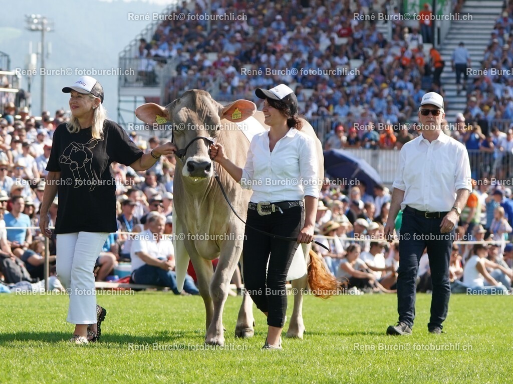DSC08035 (2) | René Burch leidenschaftlicher Fotograf aus Kerns in Obwalden.  Hier finden sie Sport, Landschaft und Natur Fotografie.
 - Realisiert mit Pictrs.com