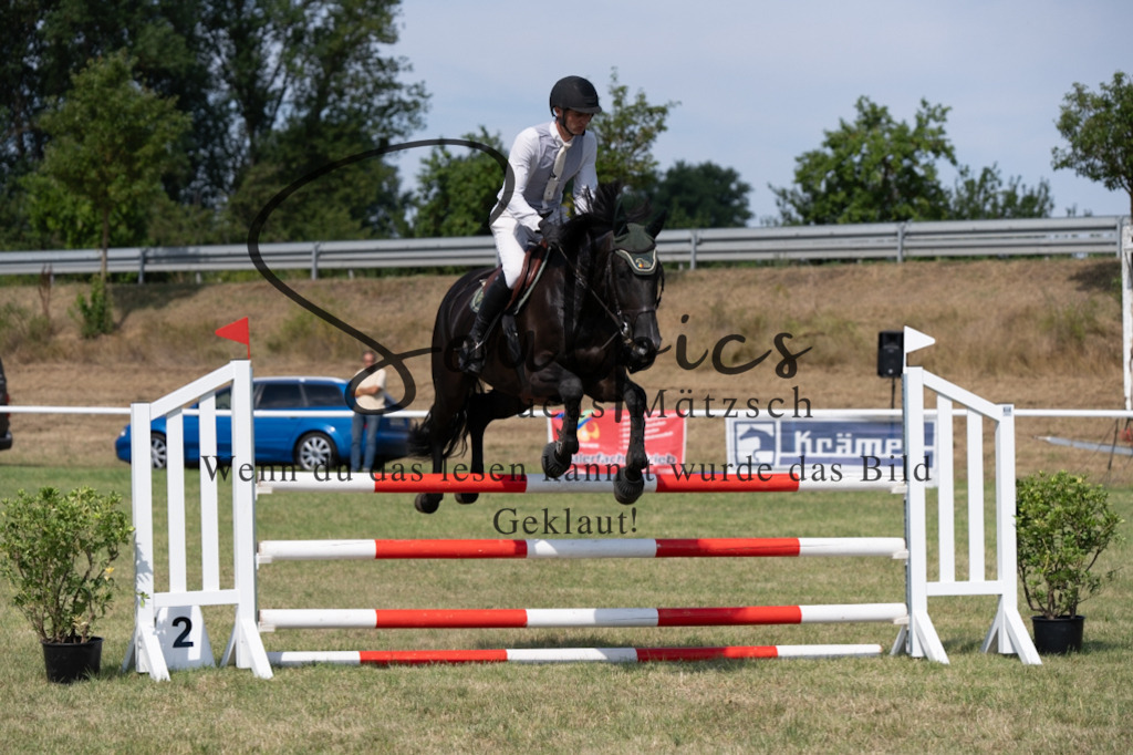 A7V01560 | Turnier/Reitfotograf