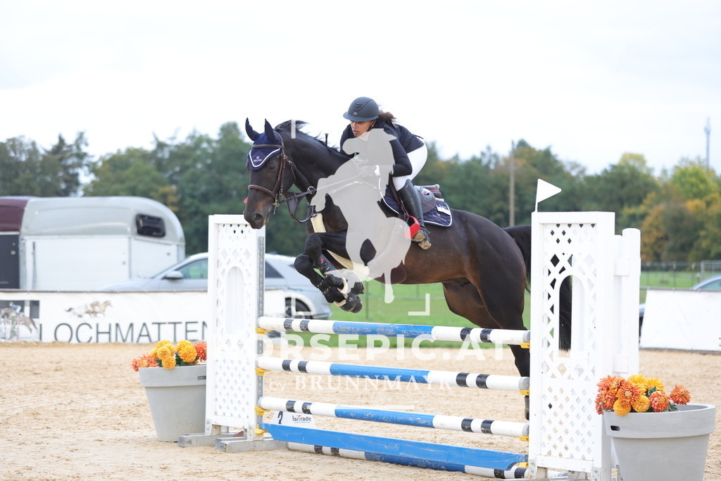0P6A0133 | Willkommen bei Brunnmayr - Design & Fotografie – Ihrem Spezialisten für Reitturniere und Pferdeveranstaltungen in Oberösterreich, Salzburg und Bayern! Seit über 17 Jahren sind wir leidenschaftlich dabei.