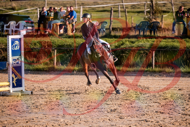 2026_10_03_Siefer-Hof_171901_Z81_16918631 | Professionelle Reitsport-, Turnier- und Eventfotografie von Robert Broda. Galerien mit ausgewählten und bearbeiteten Bildern direkt online ansehen und bestellen.