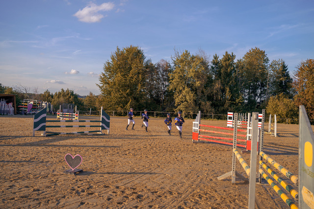 NZF_9078 | Professionelle Reitsport-, Turnier- und Eventfotografie von Robert Broda. Galerien mit ausgewählten und bearbeiteten Bildern direkt online ansehen und bestellen.