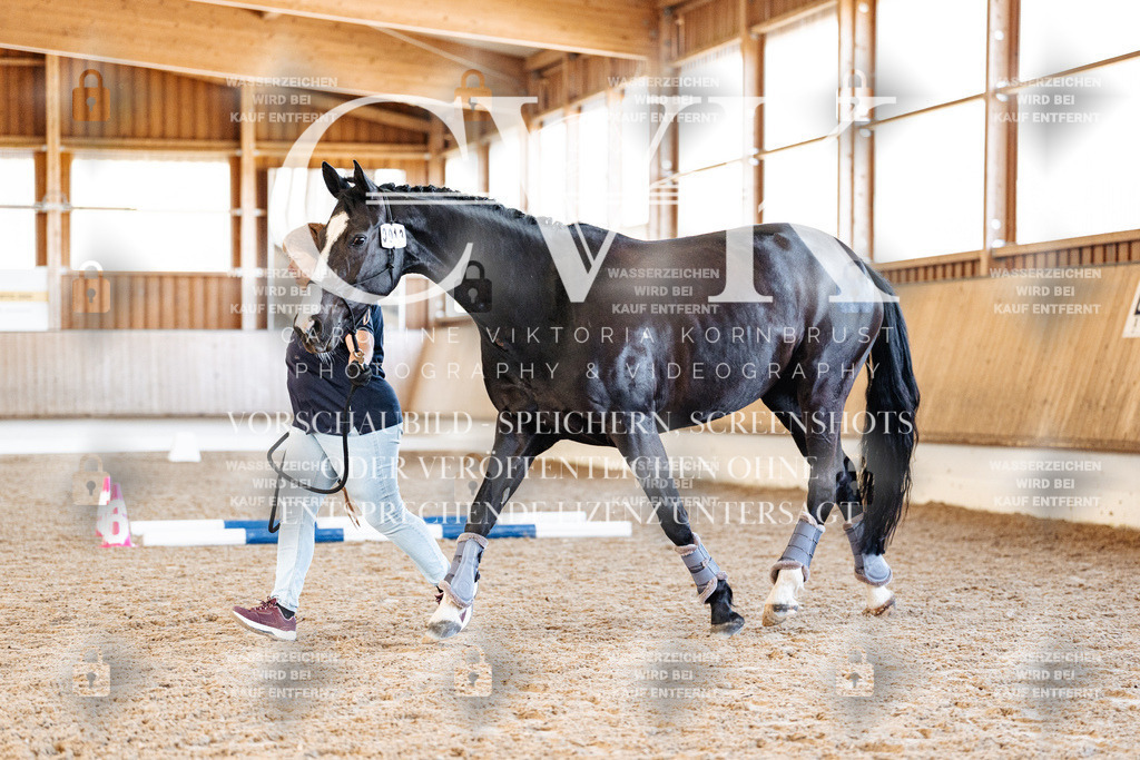 CK906249 | Turnierfotografie Pferdefotografie Trier Rheinland-Pfalz Pferdesport Reitsport Tierfotografie Sportfotografie Pferdevideo Pferdevideografie Equestrianvideography equestrianphotography  - Realisiert mit Pictrs.com