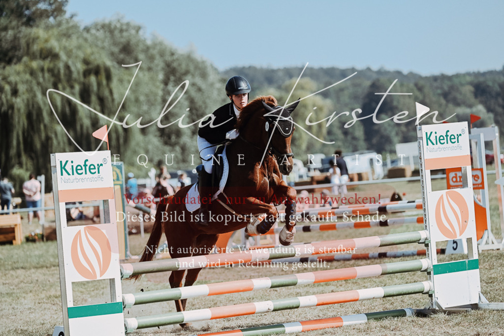 DSC_9367 | Pferde- und Turnierfotografie in Westsachsen. Pferdeportraits, Auftragszeichnungen und intuitive Kunst.