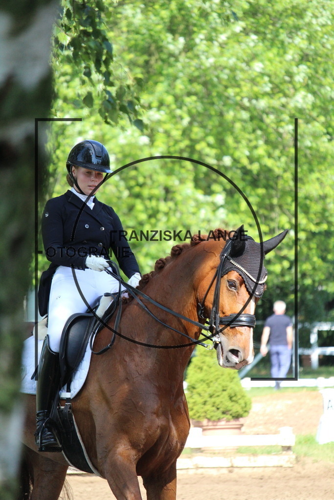 IMG_6907 | franziskalange - Realisiert mit Pictrs.com