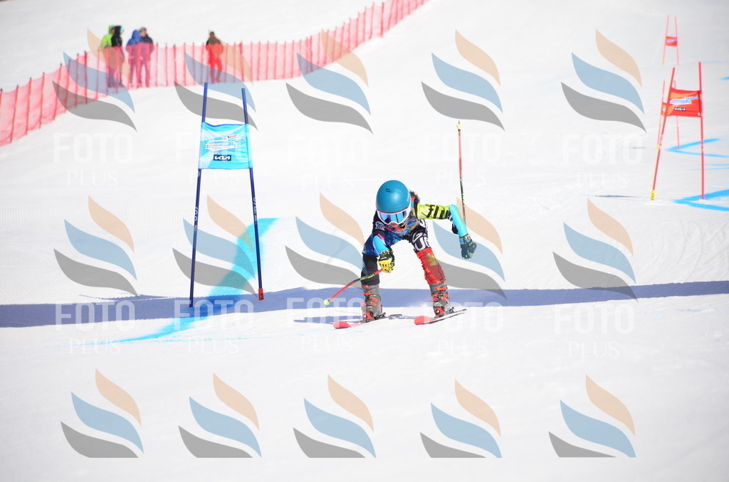 VR4_9366 | holidayphoto