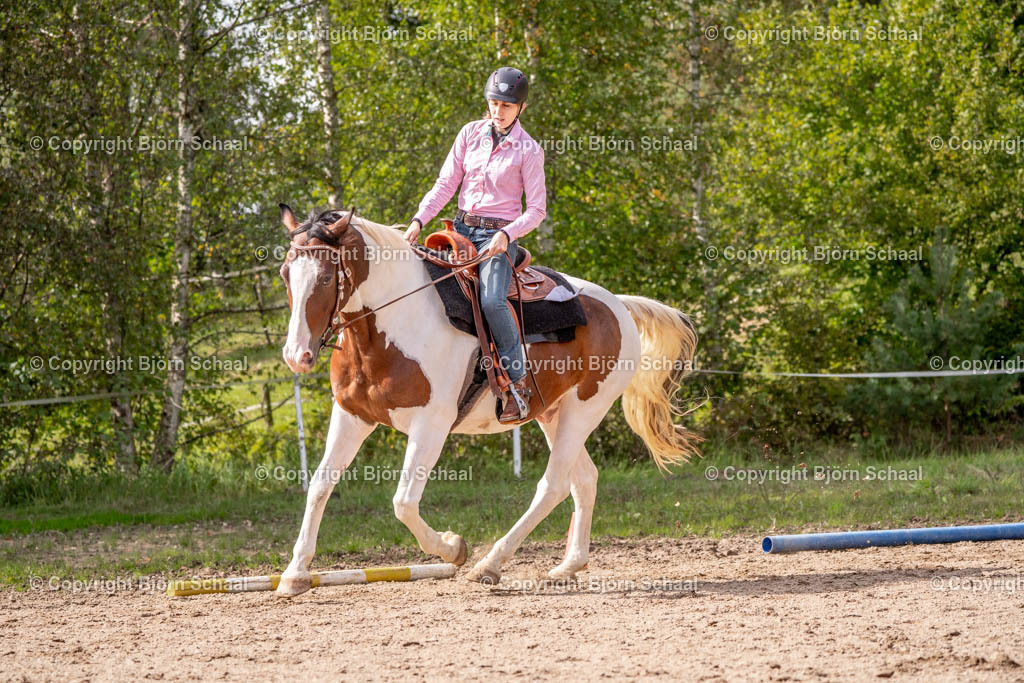 SAL03213 | BS-foto