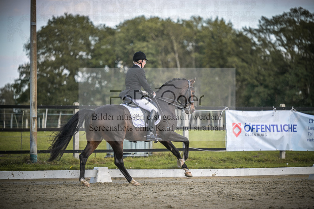 DOS_4012 | Entdecke hochwertige Reitturnierfotos von Foto Oger. Professionell, emotional und authentisch – jetzt Lieblingsmomente im Shop bestellen.Deutschlandweite Turnierfotografie. - Realisiert mit Pictrs.com