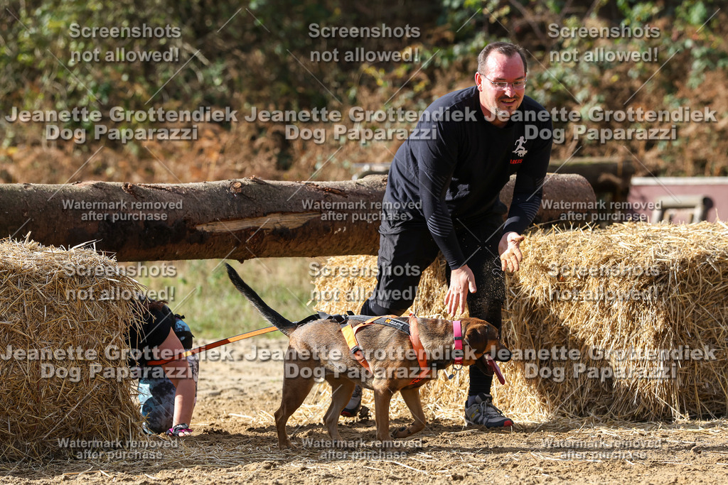 Dog Paparazzi - Strongdog 10-25-5164 | Dog Paparazzi Jeanette Grottendiek Fotografie & Videografie