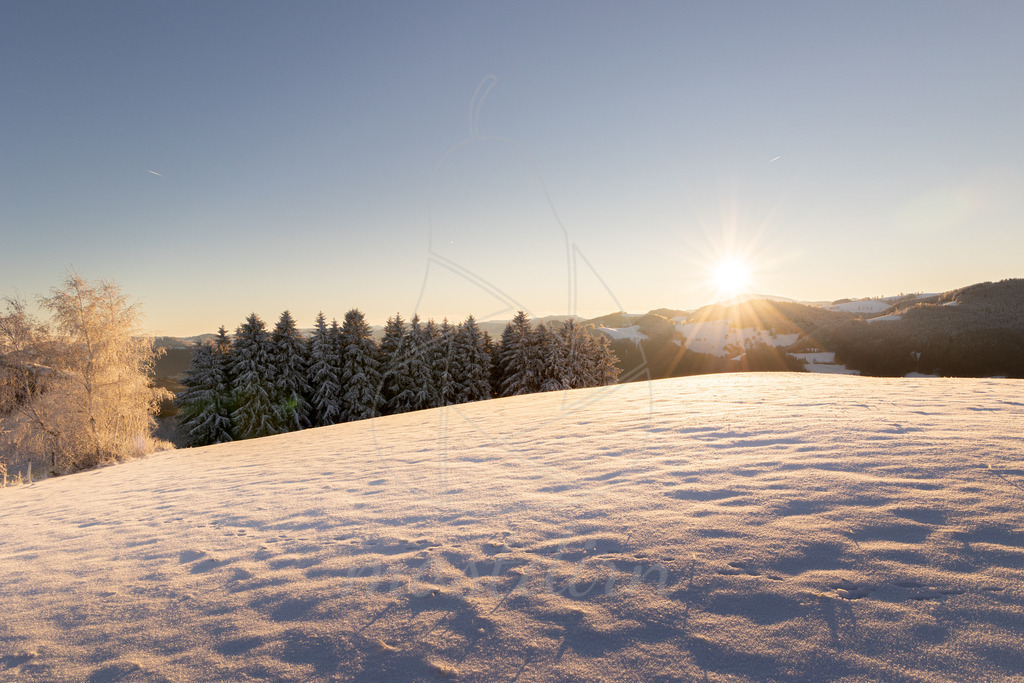 Winterwonderland Randegg | Ihre Fotografin im Lungau, ihre Fotografin im Mostviertel, Wandbilder Onlineshop, Imagefotos für Ihr Unternehmen,  - Realisiert mit Pictrs.com