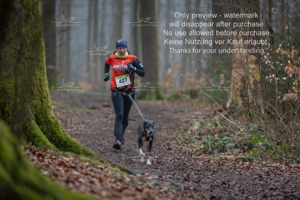 Canix_So-110 | stephaniefillaphotographie - Realisiert mit Pictrs.com