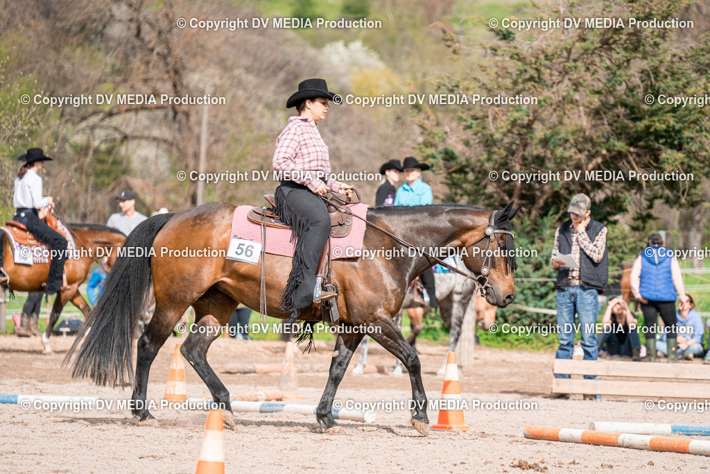 BAL02682 | dv-media-shop - Realisiert mit Pictrs.com