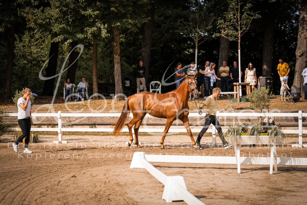 FrER00120 | Leoni Ertmer Photography - Realisiert mit Pictrs.com