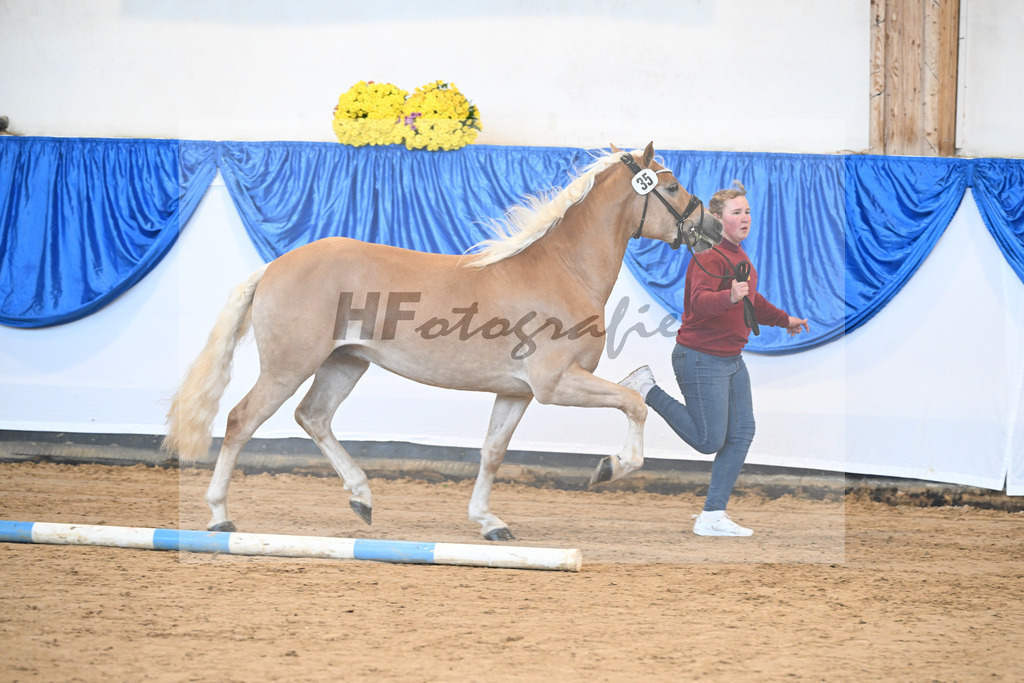 Kat-Nr. 35 nn v. Bugatti_Friedrich_48250822 | hf-fotografie - Realisiert mit Pictrs.com