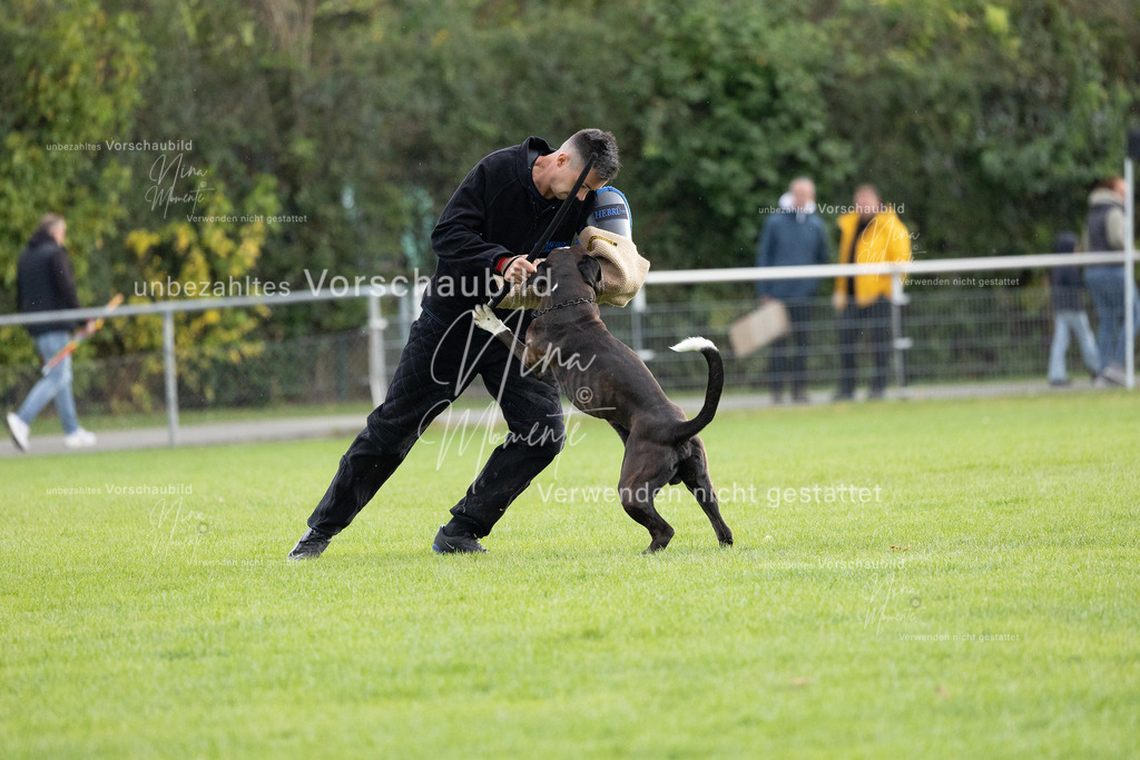 _16A7123 | Einzigartige Fotos von Hunden & Menschen –Actionfotos, Portraits, Vereinsaufnahmen & Paarshootings – authentisch, lebendig & mit Herz.