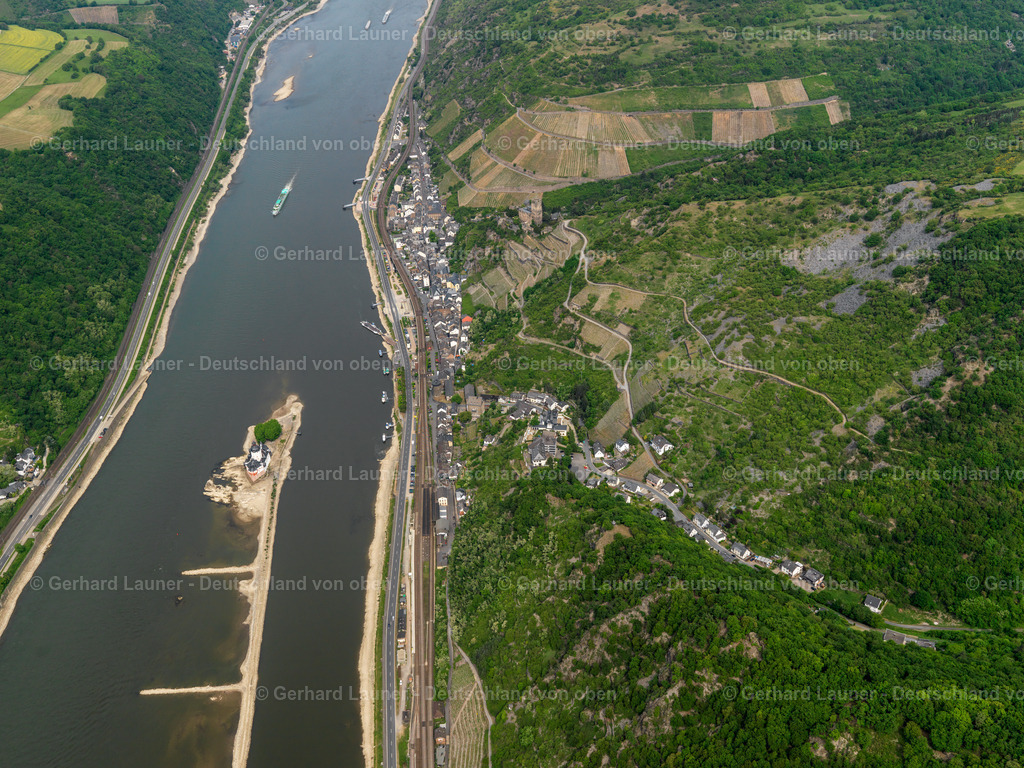 3126159 | Rhein bei Kaub