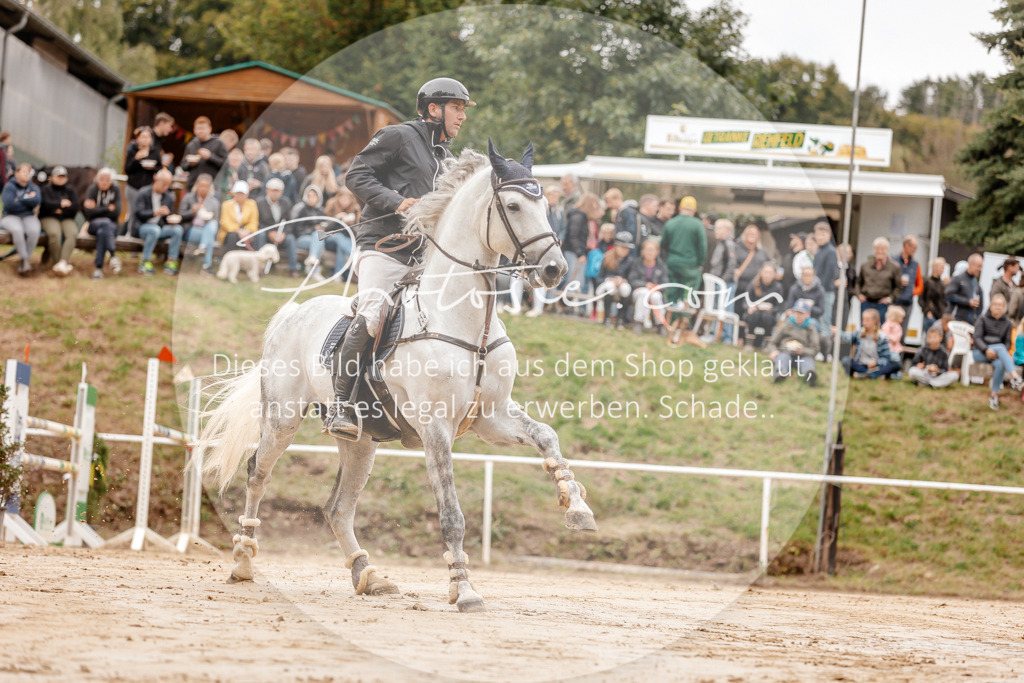3I6A8447 | Stimmungsvolle Portraits und Reitsportfotografie im Ruhrgebiet und im Münsterland.

Pferdefotografie, Hundefotografie, Tierfotografie, Reportagen, Portraits von Tier und Mensch, Turnierfotografie in Bochum, Recklinghausen, Marl, Haltern am See, Dülmen.. - Realisiert mit Pictrs.com