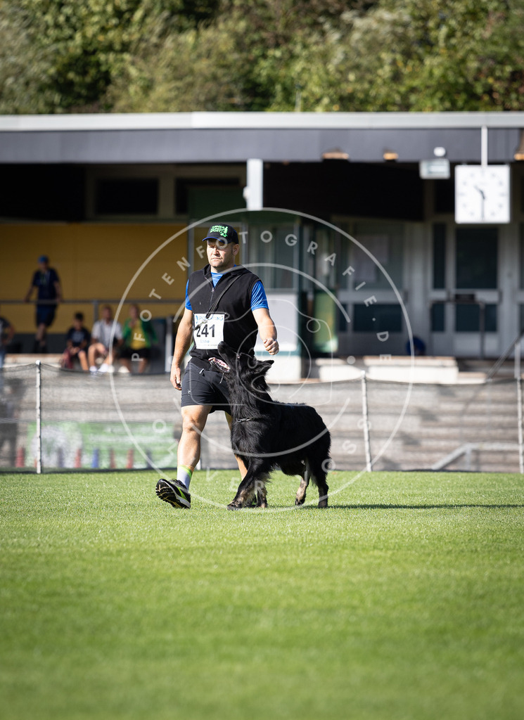 Pfotenfotografie_DV3A4912 | Hundefotografie, Tierfotograf, Pfotenfotografie, Fotoshooting Hund, Hunde Portrait, Hundesport, Hundeportraits, Heideshooting, Hunde, Sportfotograf, Hundefotograf, Turnierhundsport, THS,  - Realisiert mit Pictrs.com