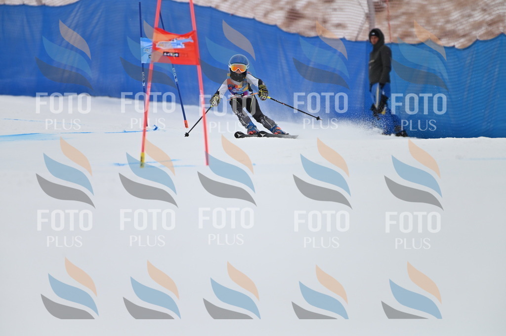 BGV_1864 | holidayphoto