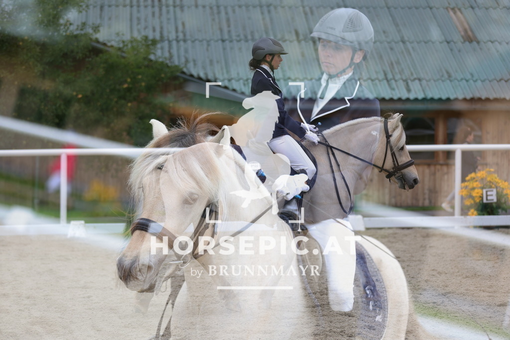 0P6A8990 | Willkommen bei Brunnmayr - Design & Fotografie – Ihrem Spezialisten für Reitturniere und Pferdeveranstaltungen in Oberösterreich, Salzburg und Bayern! Seit über 17 Jahren sind wir leidenschaftlich dabei.