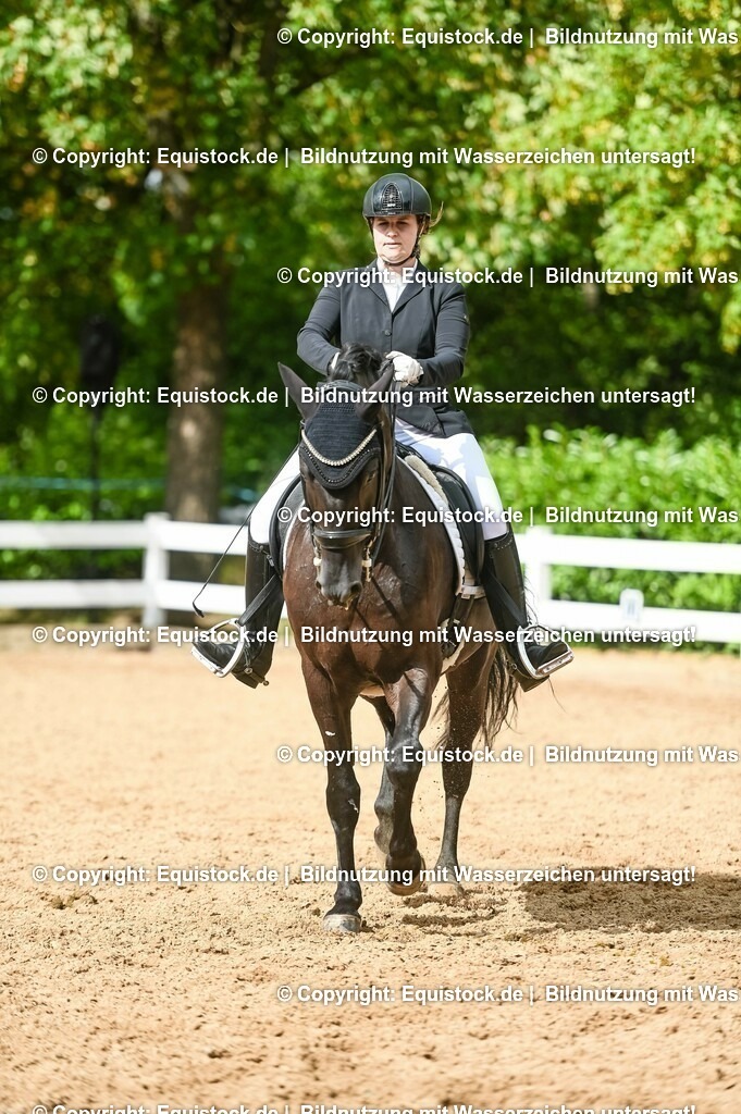 20230716_01_Dressurprüfung Kl.M_0575 | equistock