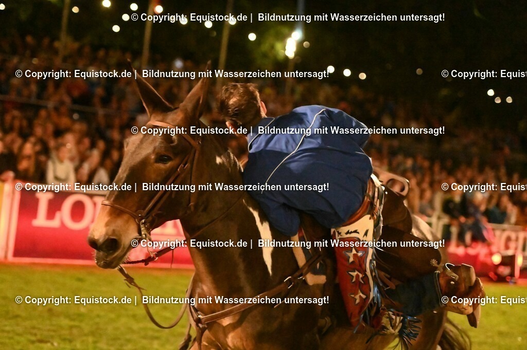 20230526_Pferdenacht_1222 | equistock