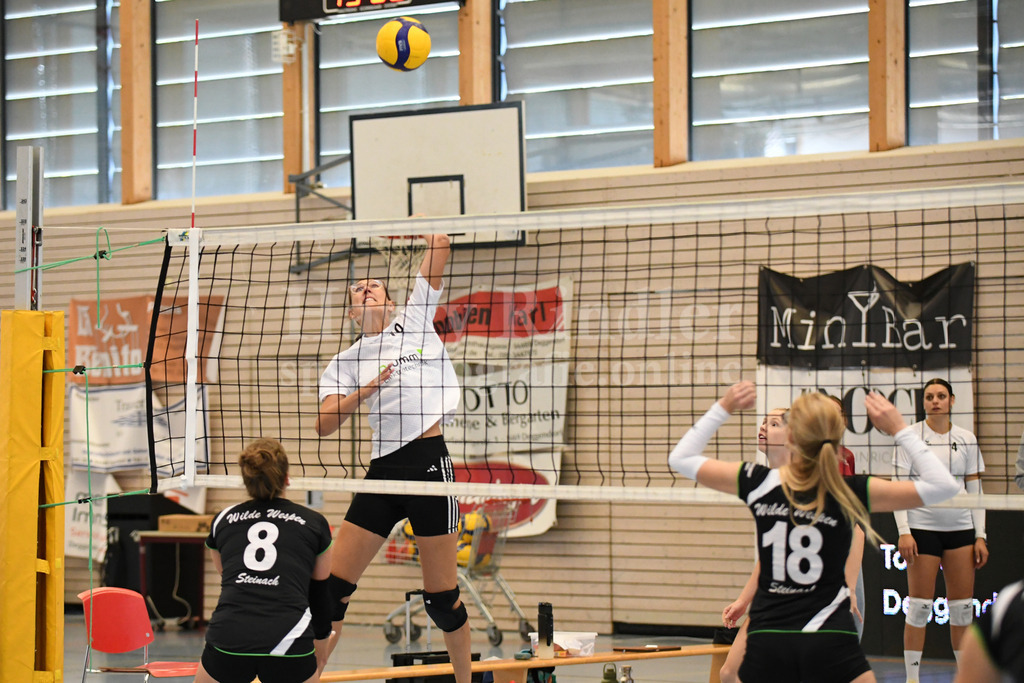 TSV Deggendorf Damen : Wilde Wespen Steinach | TSV Deggendorf Damen : Wilde Wespen Steinach - Realisiert mit Pictrs.com