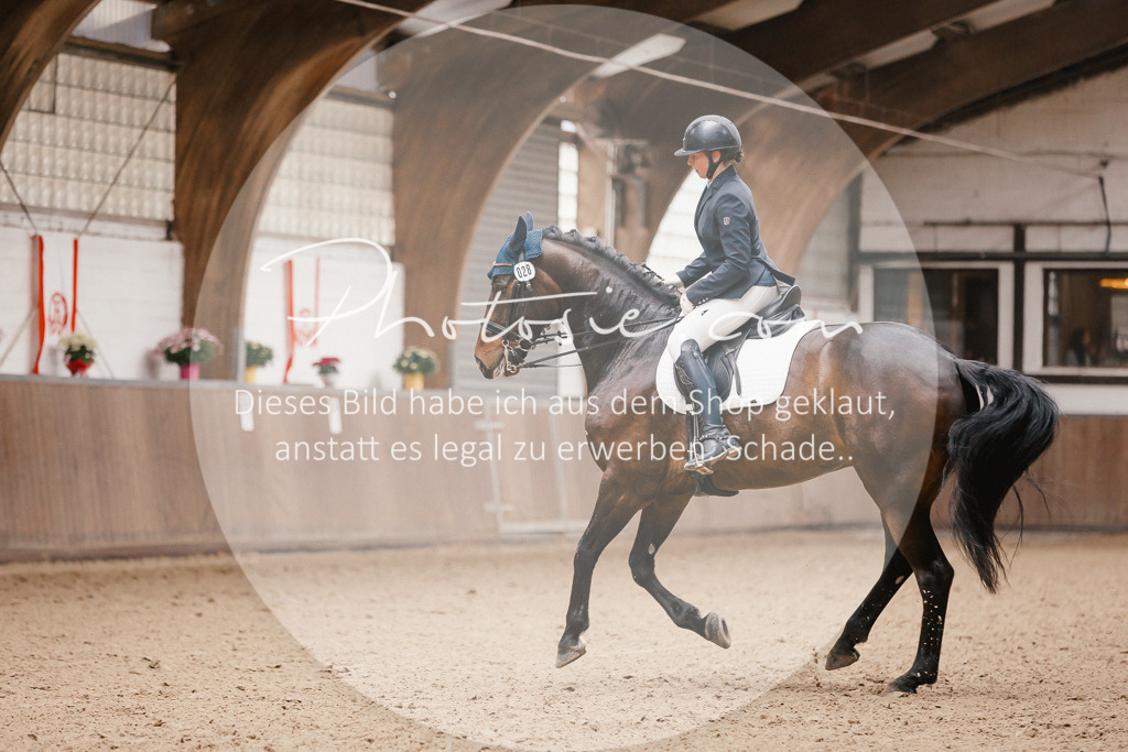 3I6A8499 | Stimmungsvolle Portraits und Reitsportfotografie im Ruhrgebiet und im Münsterland.

Pferdefotografie, Hundefotografie, Tierfotografie, Reportagen, Portraits von Tier und Mensch, Turnierfotografie in Bochum, Recklinghausen, Marl, Haltern am See, Dülmen.. - Realisiert mit Pictrs.com
