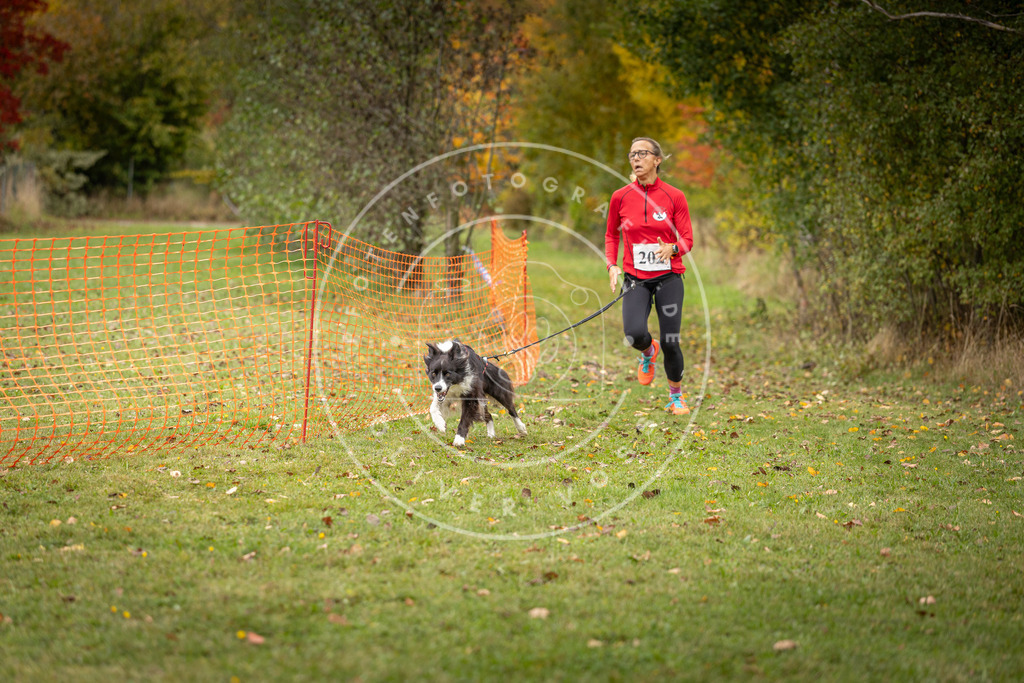 Pfotenfotografie_DV3A4137 | Hundefotografie, Tierfotograf, Pfotenfotografie, Fotoshooting Hund, Hunde Portrait, Hundesport, Hundeportraits, Heideshooting, Hunde, Sportfotograf, Hundefotograf, Turnierhundsport, THS,  - Realisiert mit Pictrs.com