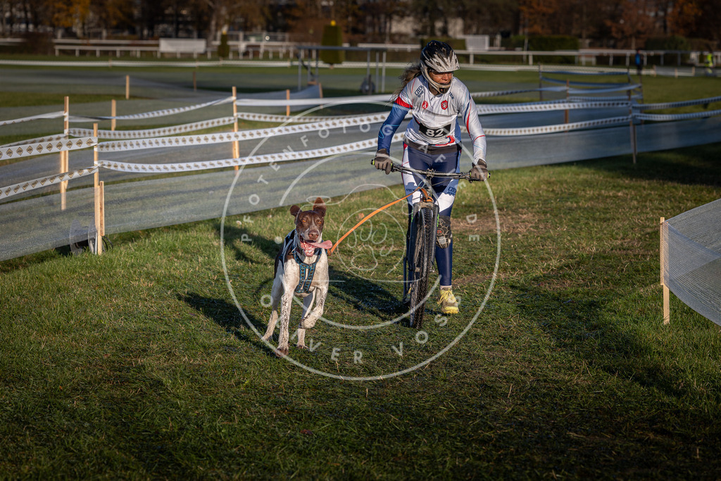 CaniXpix_0L8A3730 | Hundefotografie, Tierfotograf, Pfotenfotografie, Fotoshooting Hund, Hunde Portrait, Hundesport, Hundeportraits, Heideshooting, Hunde, Sportfotograf, Hundefotograf, Turnierhundsport, THS,  - Realisiert mit Pictrs.com