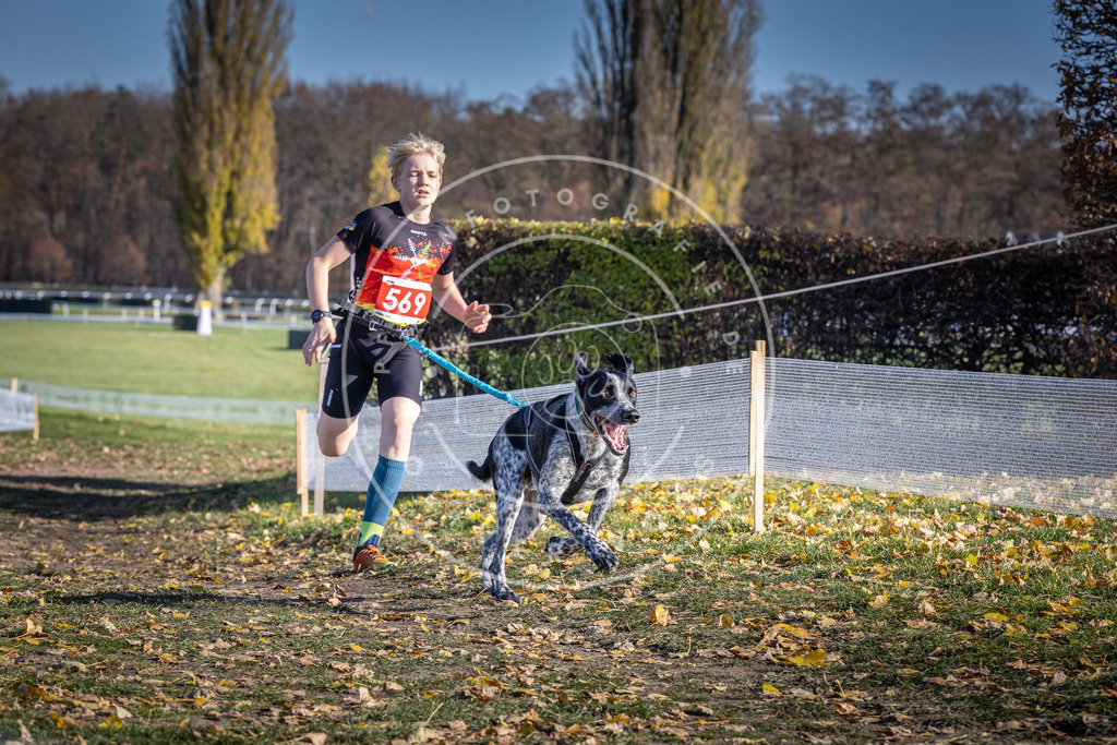 CaniXpix_DV3A8851 | Hundefotografie, Tierfotograf, Pfotenfotografie, Fotoshooting Hund, Hunde Portrait, Hundesport, Hundeportraits, Heideshooting, Hunde, Sportfotograf, Hundefotograf, Turnierhundsport, THS,  - Realisiert mit Pictrs.com